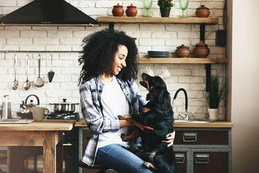 African-American woman with cute funny dog in kitchen