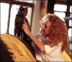 renforcements positifs pour votre chaton