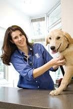 Vet tech examples lab puppy on medical table.