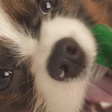 initial thumbnail