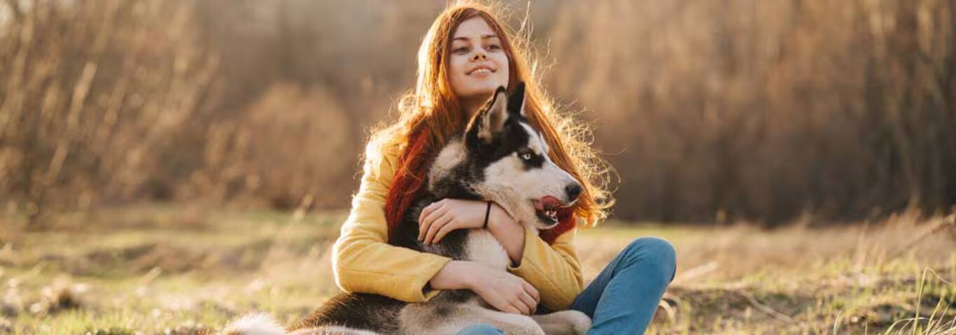 Photo d'un chien Husky de Sibérie
