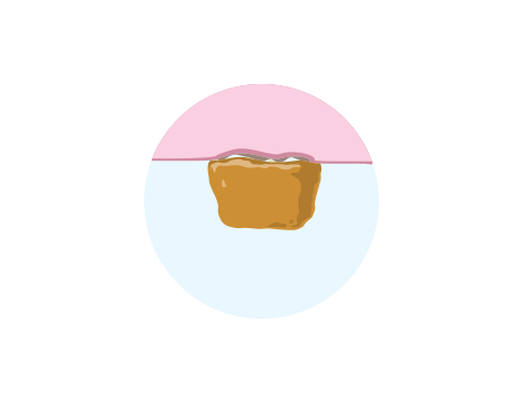 pet food covering the tooth illustration