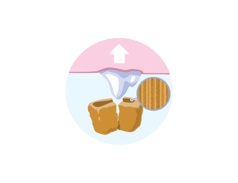 pet food scubs away tooth build up illustration