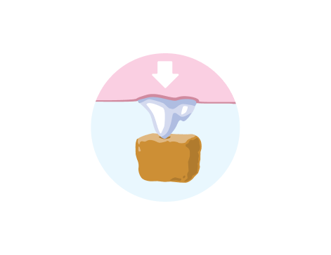 Pet food and pet tooth illustration