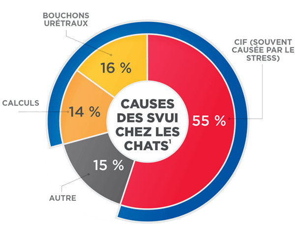Graphique présentant les causes des symptômes des voies urinaires inférieures félines