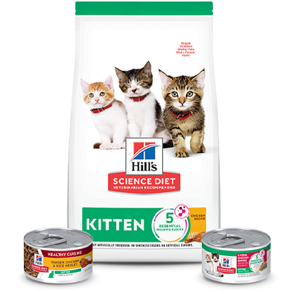 Science Diet Dry Kitten Food Bags