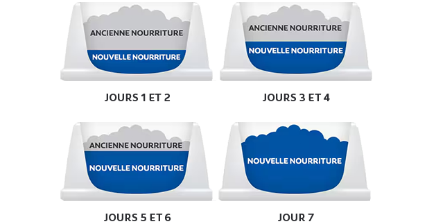 Quantité de nourriture