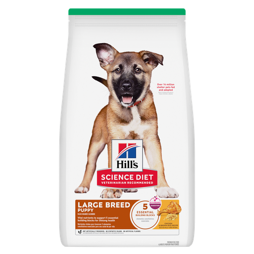 recette avec poulet et riz brun pour chiots de grandes races Visuel 
