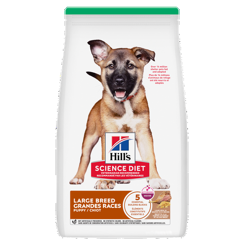 recette à la farine d’agneau et au riz brun pour chiots de grandes races Visuel 