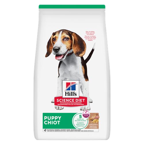 Recette à la farine d’agneau et au riz brun pour chiots Visuel 
