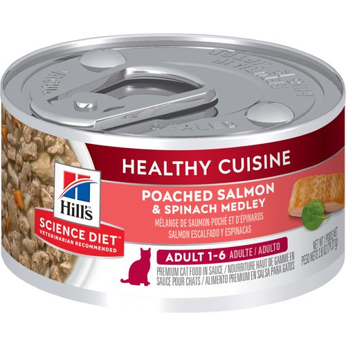 Cuisine santé, nourriture pour chats adultes, mélange de saumon poché et d’épinards Packshot