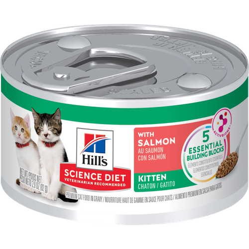Entrée de saumon savoureuse pour chatons Packshot