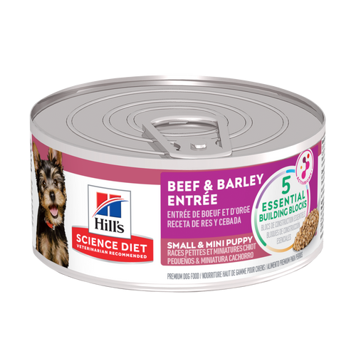 Entrée de bœuf et d’orge pour chiots de races petites et miniatures Packshot