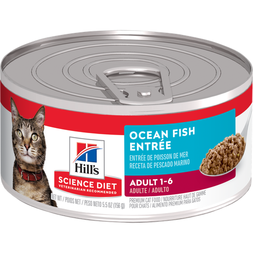 Nourriture pour chats adultes, entrée de poisson Packshot