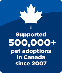 Supported 500,000+ pet adoptions in Canada since 2007