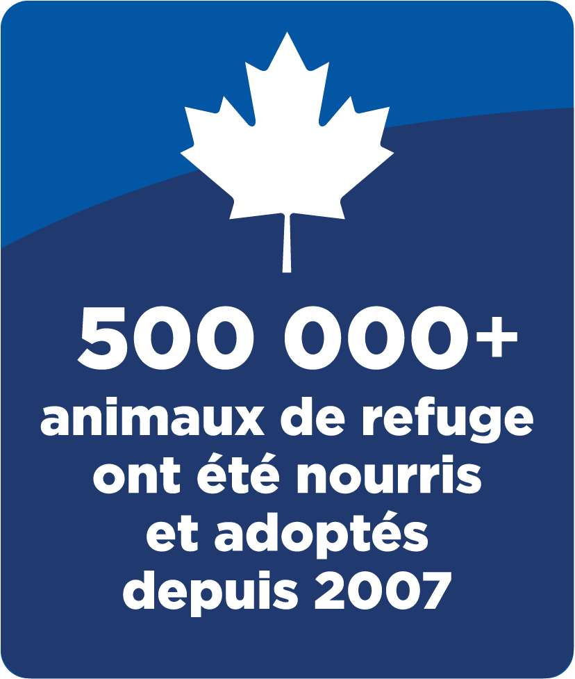icône canadien de 500 000 adoptions d’animaux de compagnie